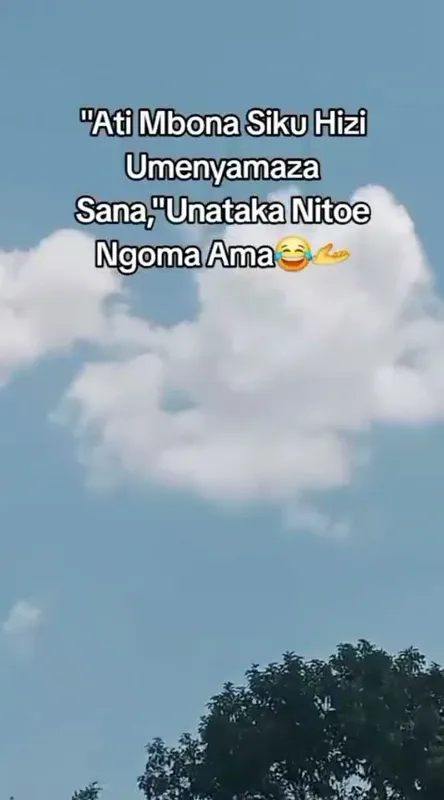 😂😂