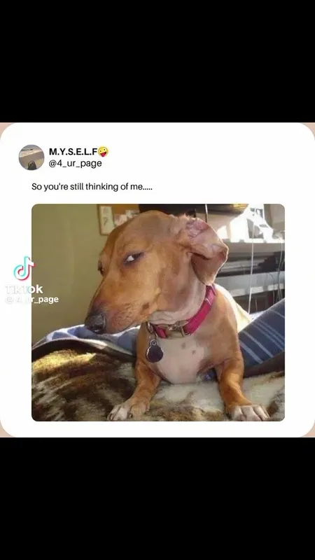 🥺🫠
