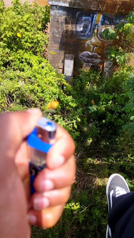 Higher than altitude...⛰️