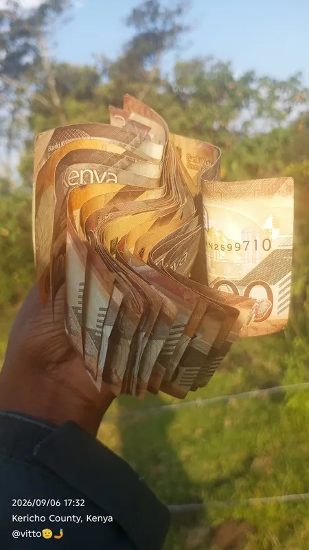 Dm nikufunze trading,
