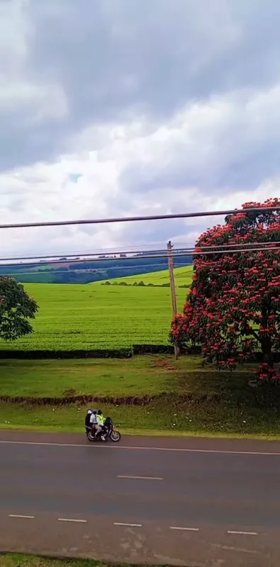 Kericho 🫰💚