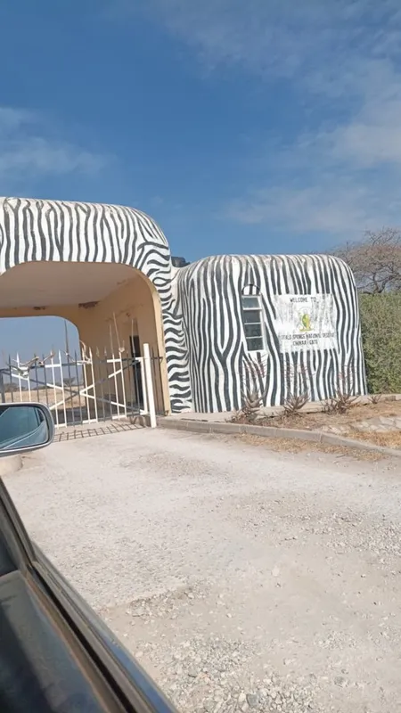 Samburu vibes, Buffalo Springs memories. 🌅