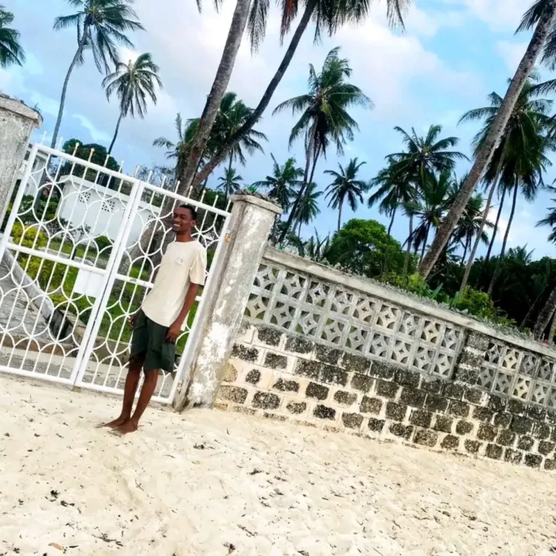 🌴🌴🌴